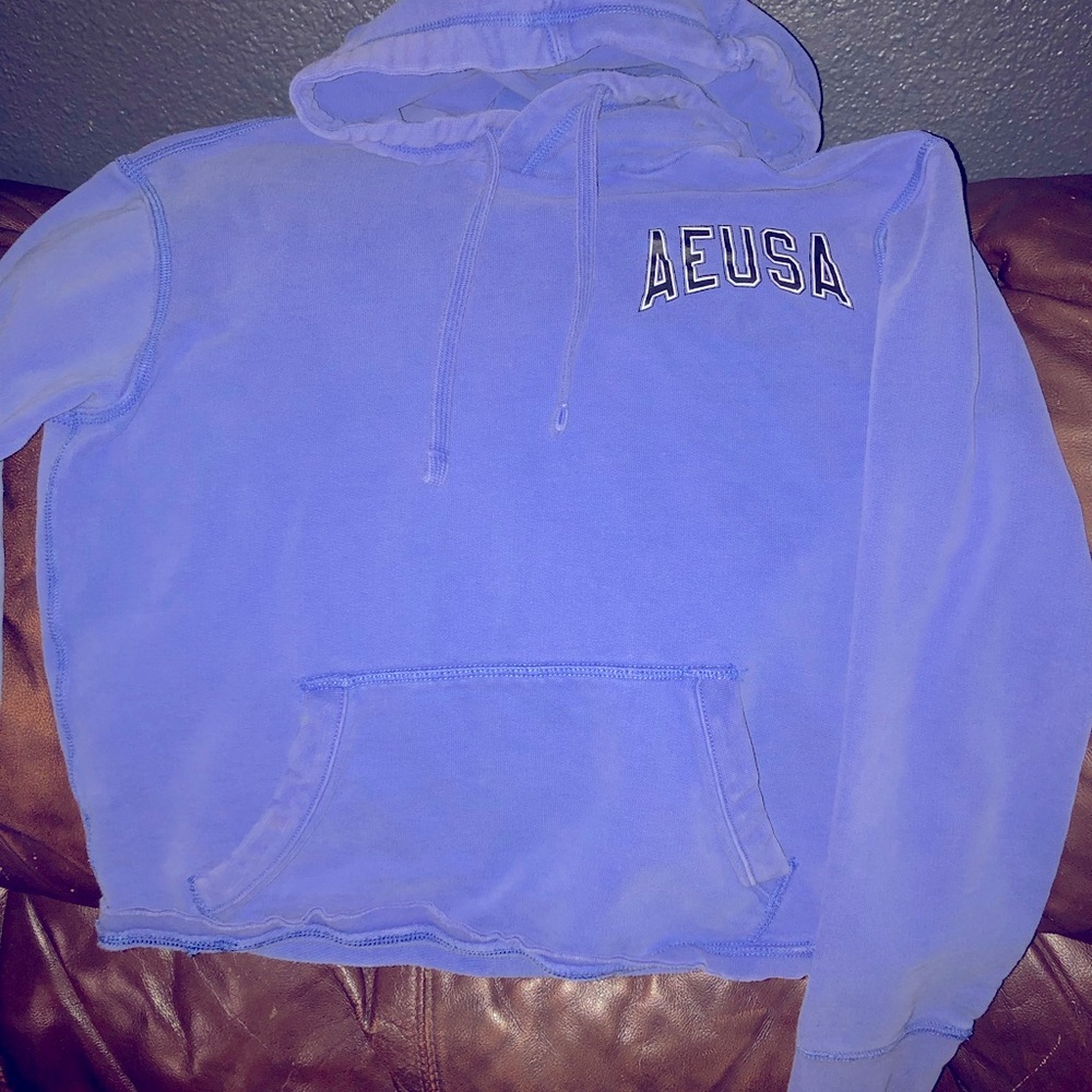 Blue crop style American eagle hoodie